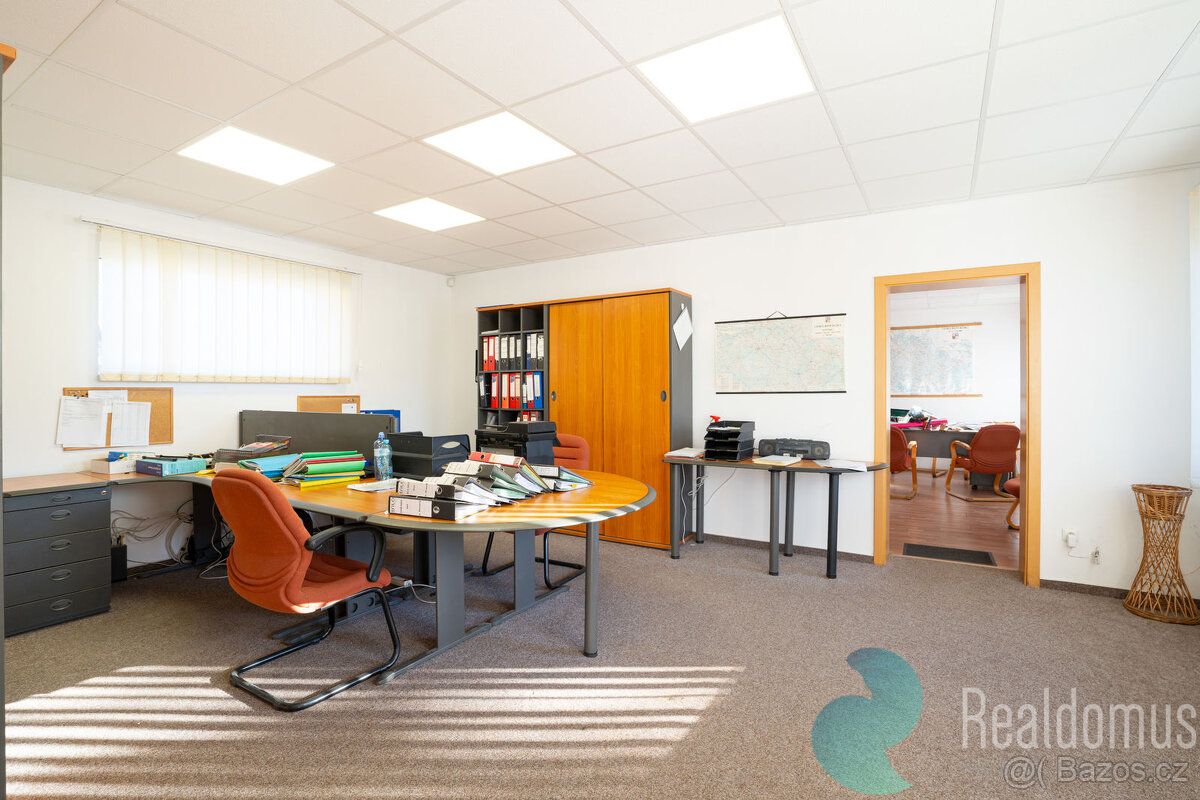 Prodej, průmyslový areál, Veselí nad Lužnicí, 29.401 m2 - 7