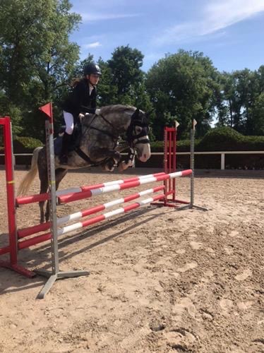 Kvalitní pony učitel - 7