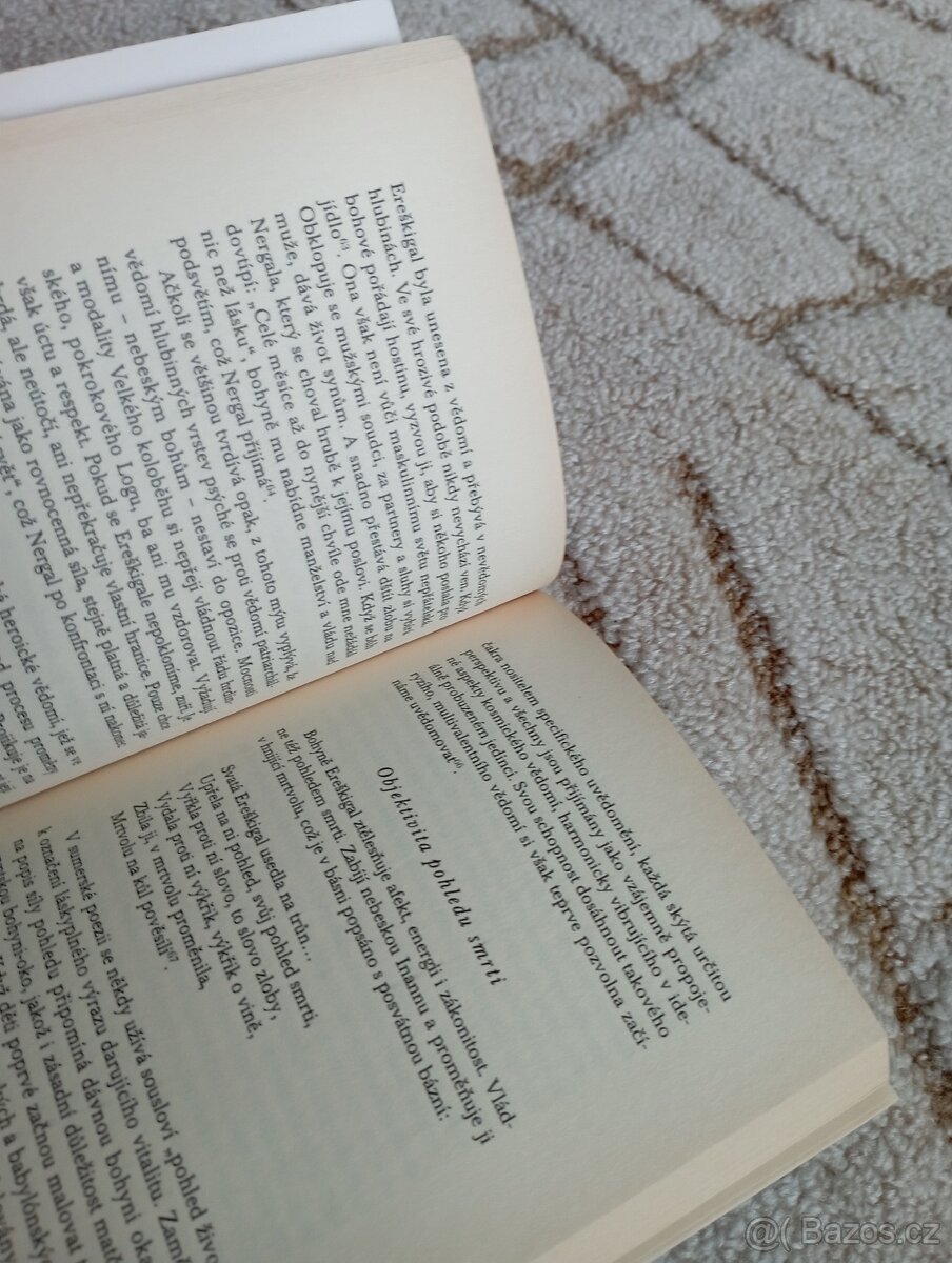 Sylvia Brinton Perera: Sestup k Bohyni - 7