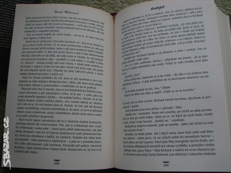 Zlodějka - Sarah Watersová - 7