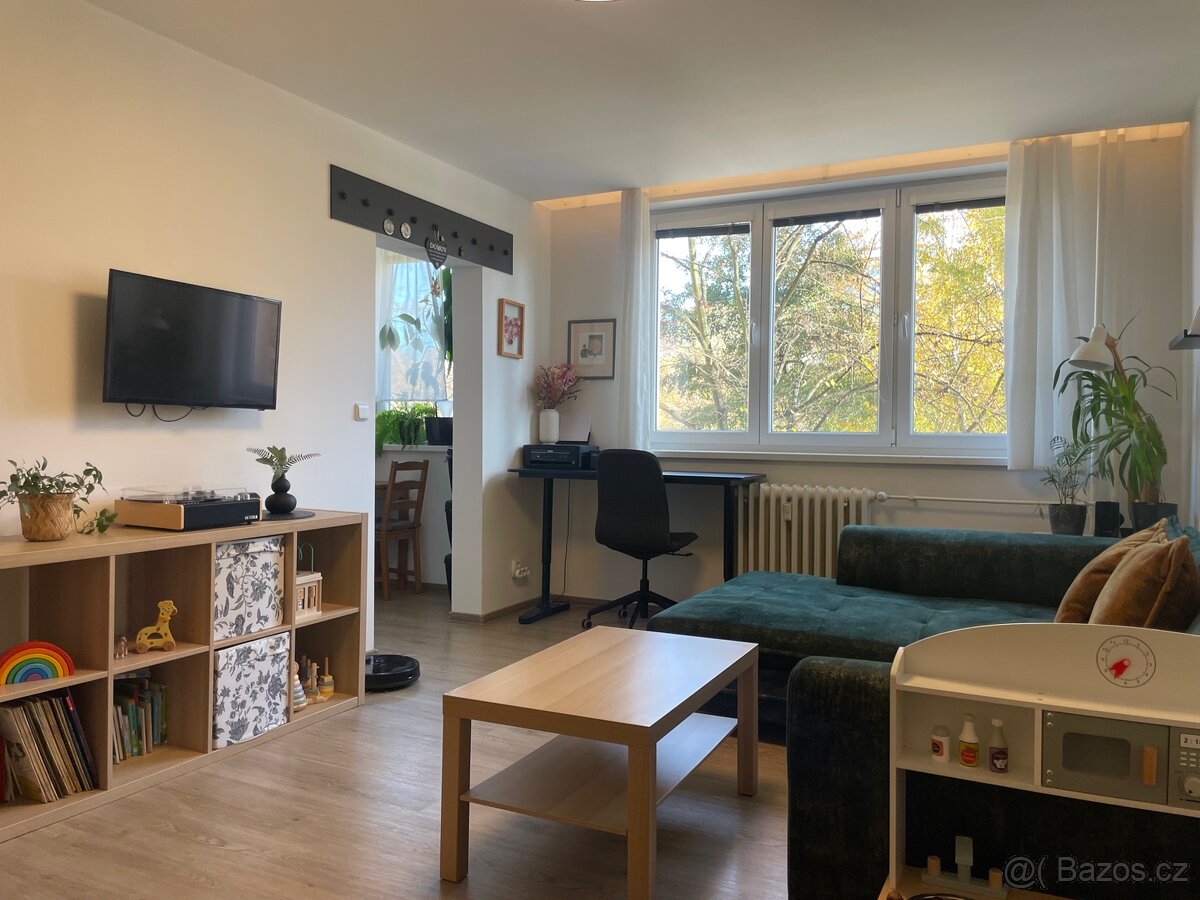 Pronájem 2+1, od března, po reko, super lokalita - 7