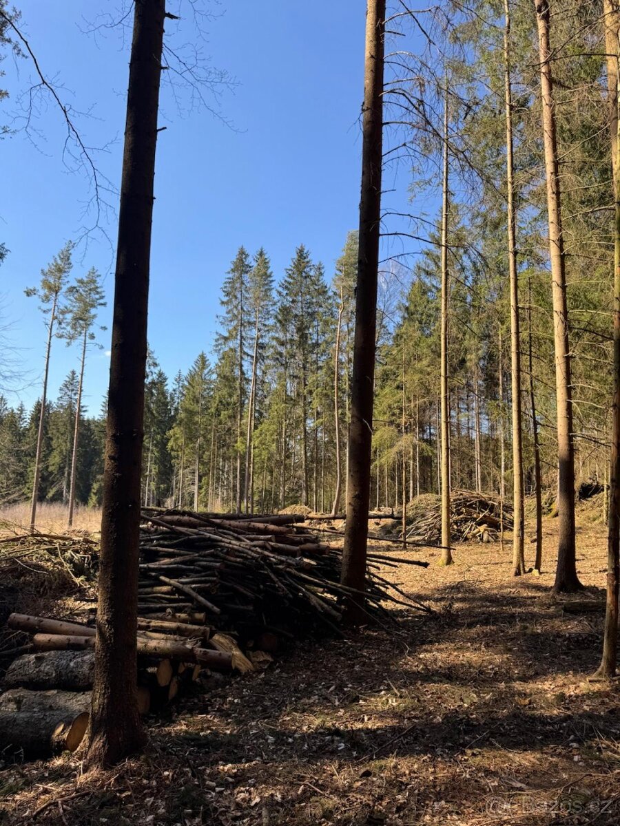Prodám pozemky v k.ú. Horní Bolíkov - 7