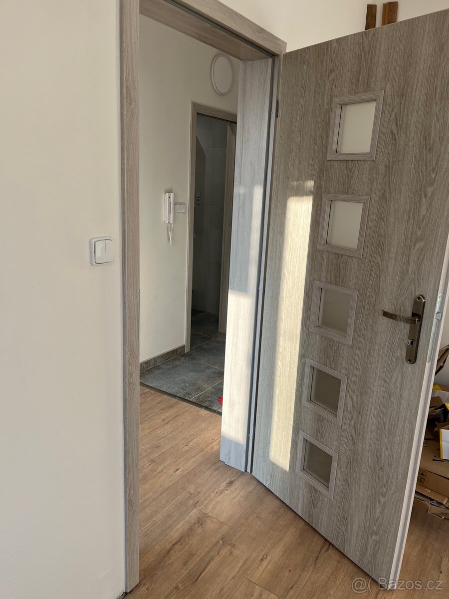 Pronajmu 2 + kk v Lounech - 7