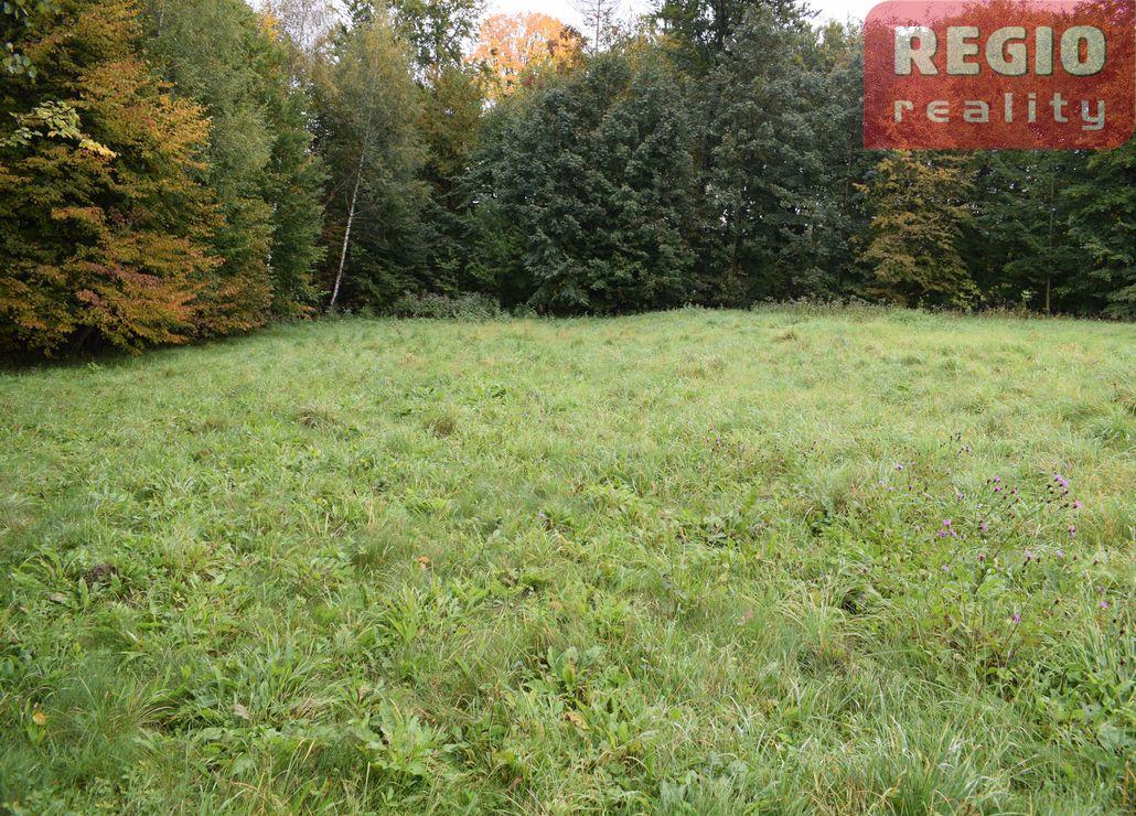 Prodej stavebního pozemku s lesem 3332m2 na Karpentné - 7