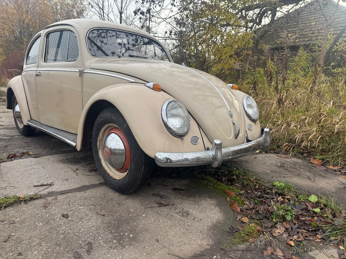 Volkswagen Brouk 1953 - 7