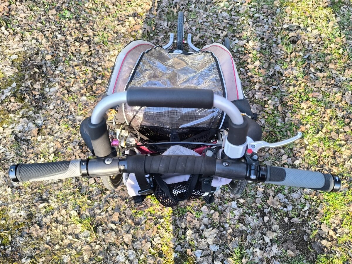Thule chariot CX1 - 7
