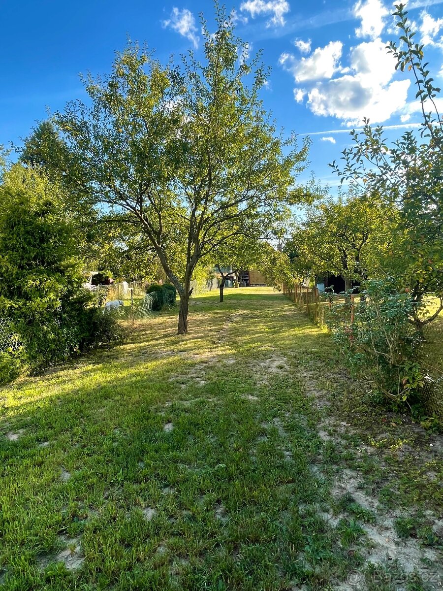 ZAHRADA NA PRODEJ - 7