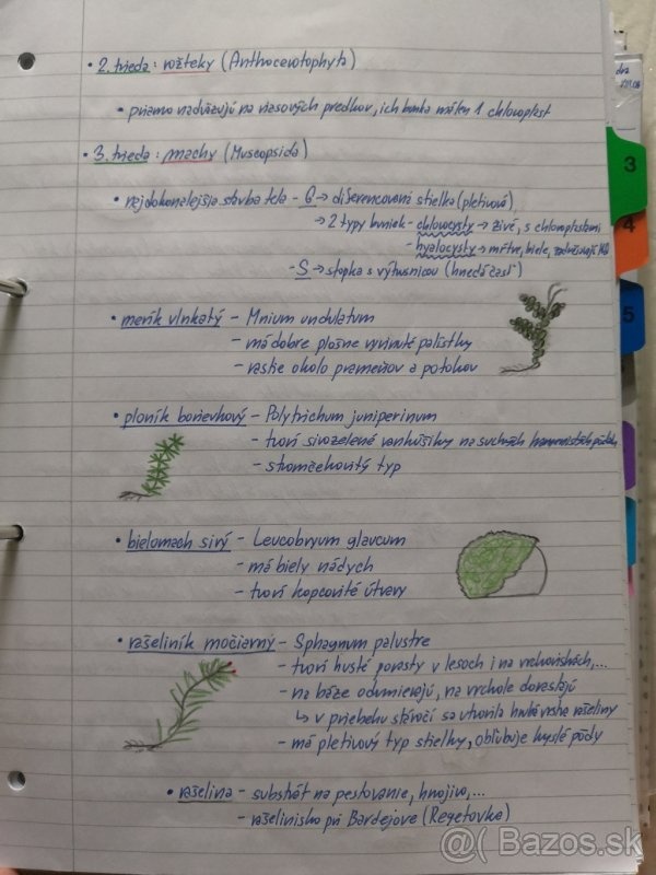 Biologie SŠ výpisky - 7