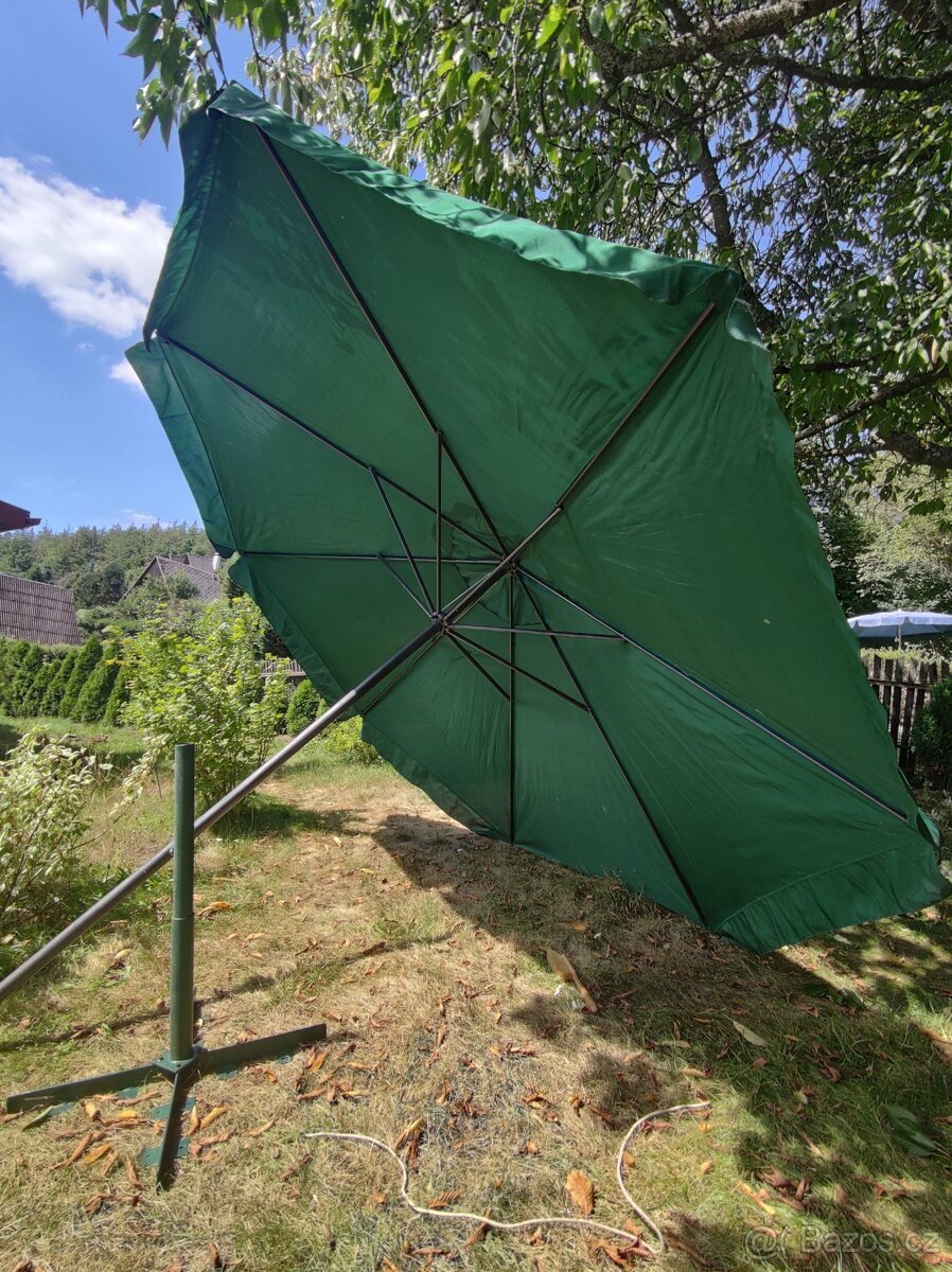 Velký slunečník - 7