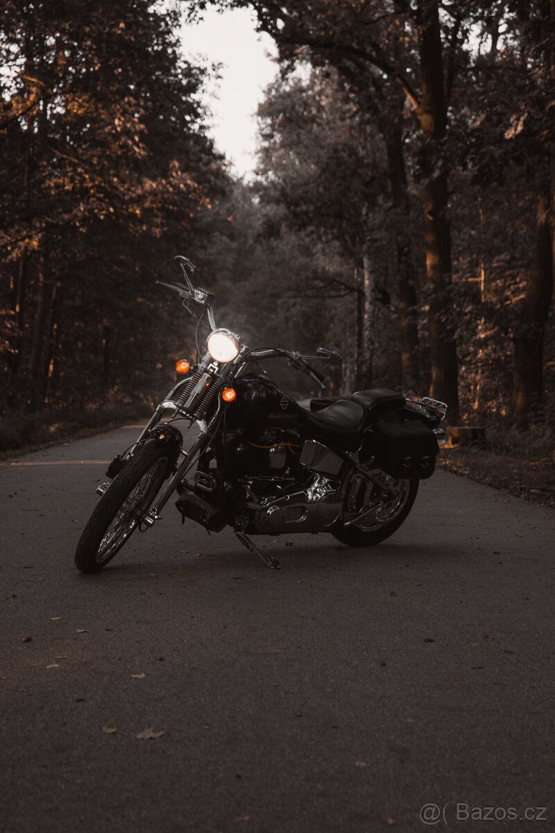 Harley Davidson Springer Softail 1340cm3- 1992 - DPH - 7
