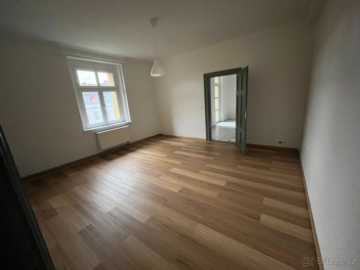 Pronájem bytu 2+1, Plzeň-Bory - 7