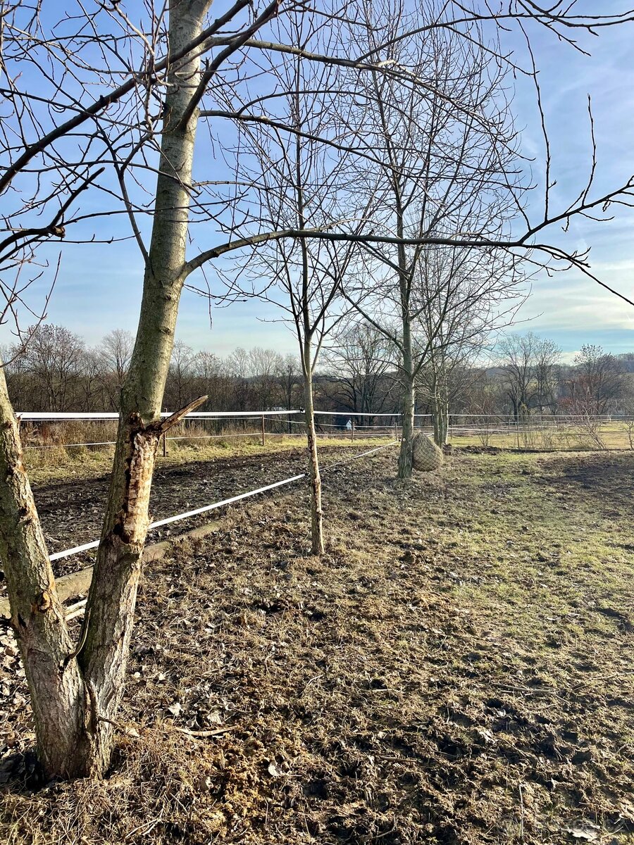 Paddock Paradise - 7