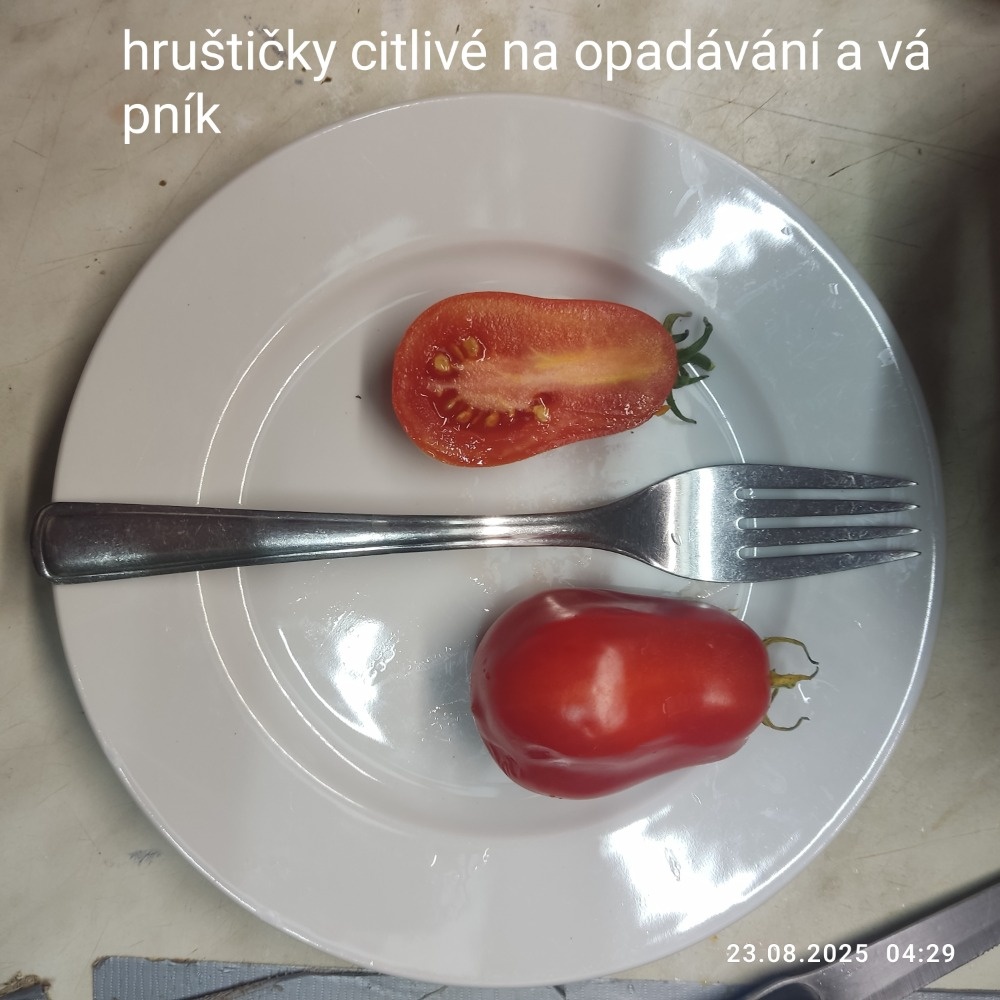 Perma nehybridní semena rajčat - 7