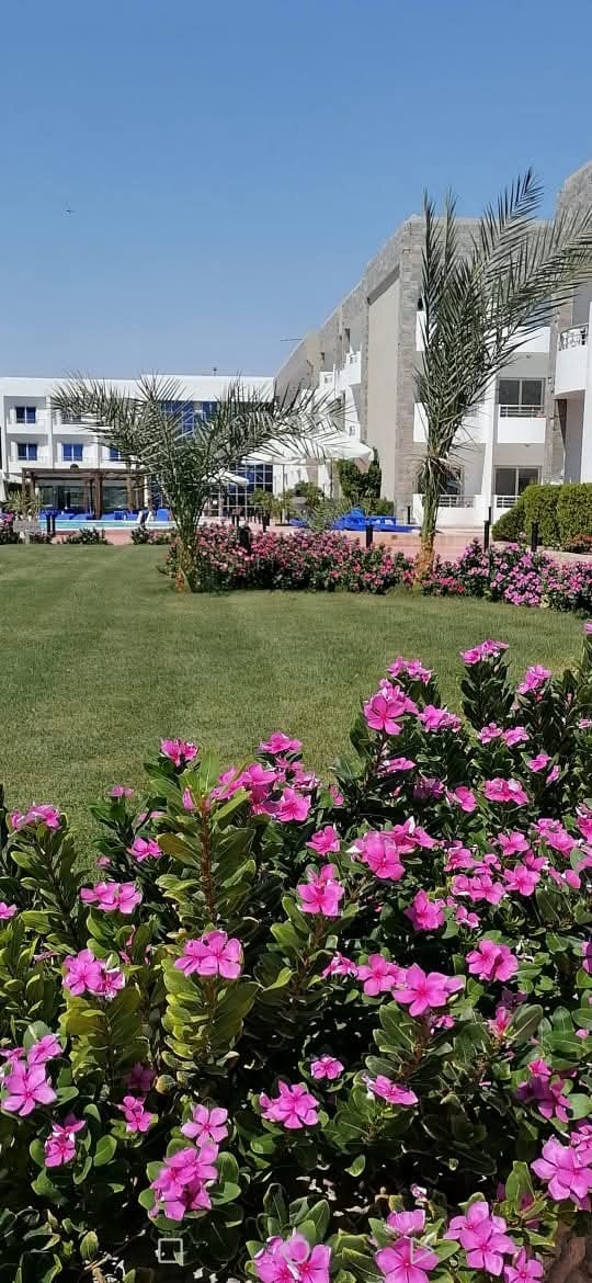 Egypt Hurgáda Stará Mamsha - 7