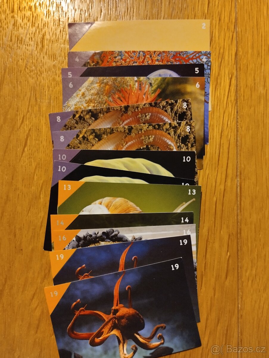 Animal kingdom - kartičky - 7