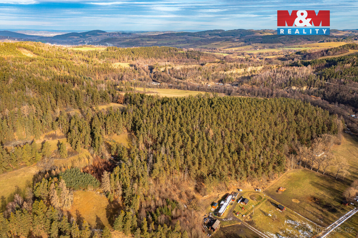 Prodej lesa, 30891 m², Malenice - 7