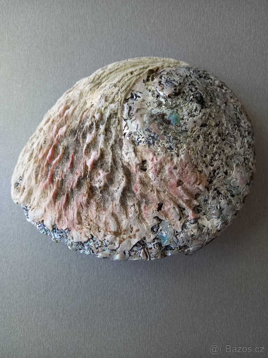 3 lastury + 2 písečné dolary - 7