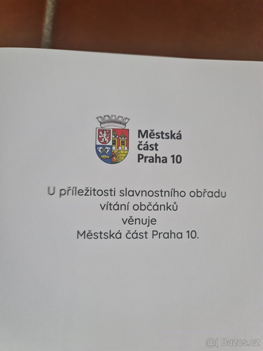 klasická zavinovačka - 7