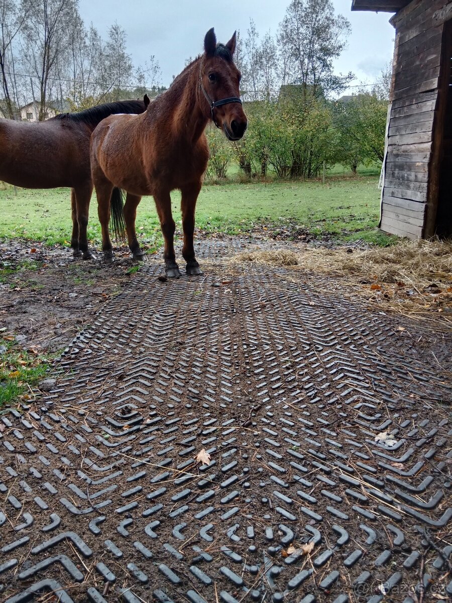 Stájové rohože, do boxů pro koně - sleva 7% - 7