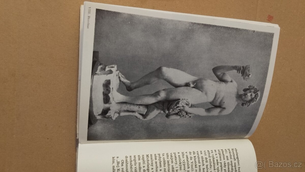 Michelangelo Buonarroti.Život a dilo - 7