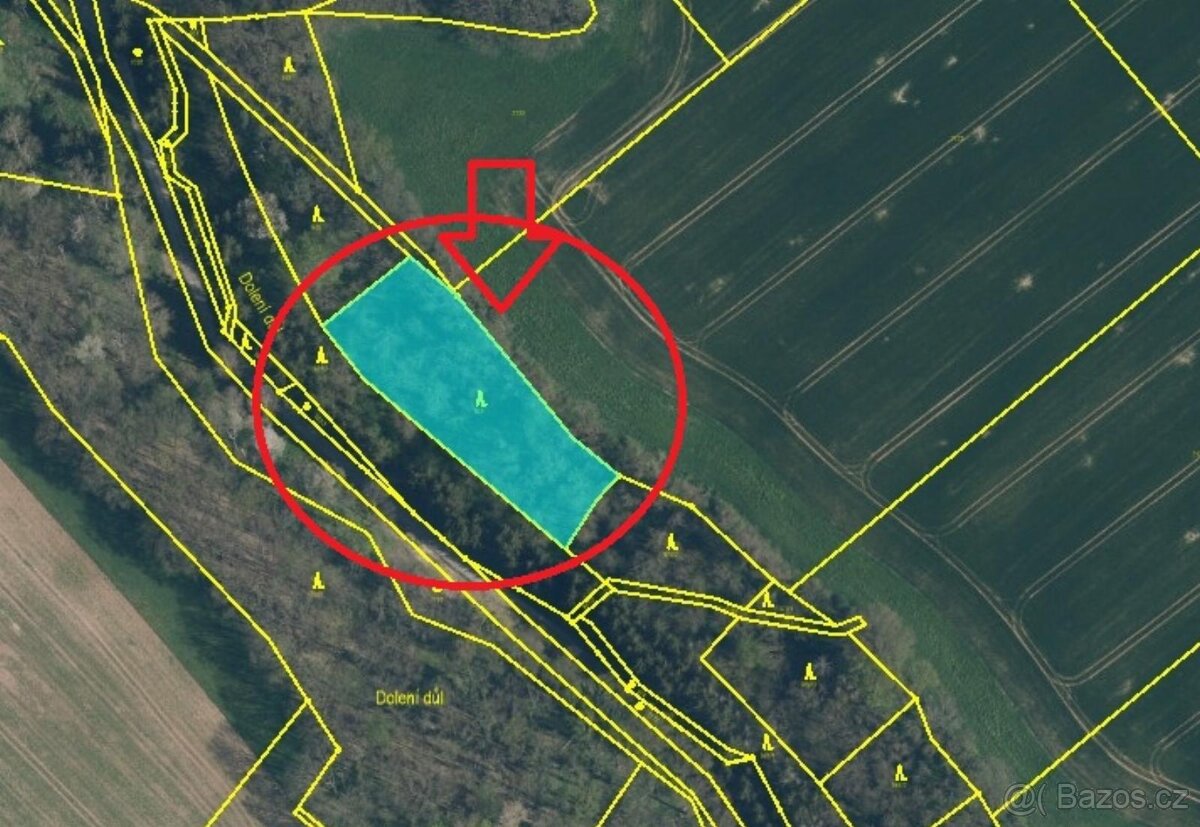 Prodej lesního pozemku v k.ú. Chorušice - 7