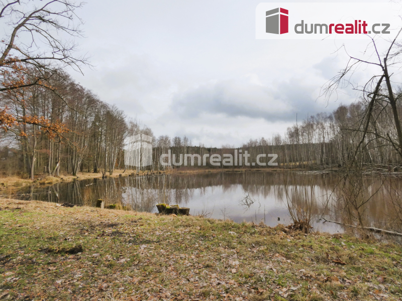 Prodej, Pomezní rybník 3974 m² - 7