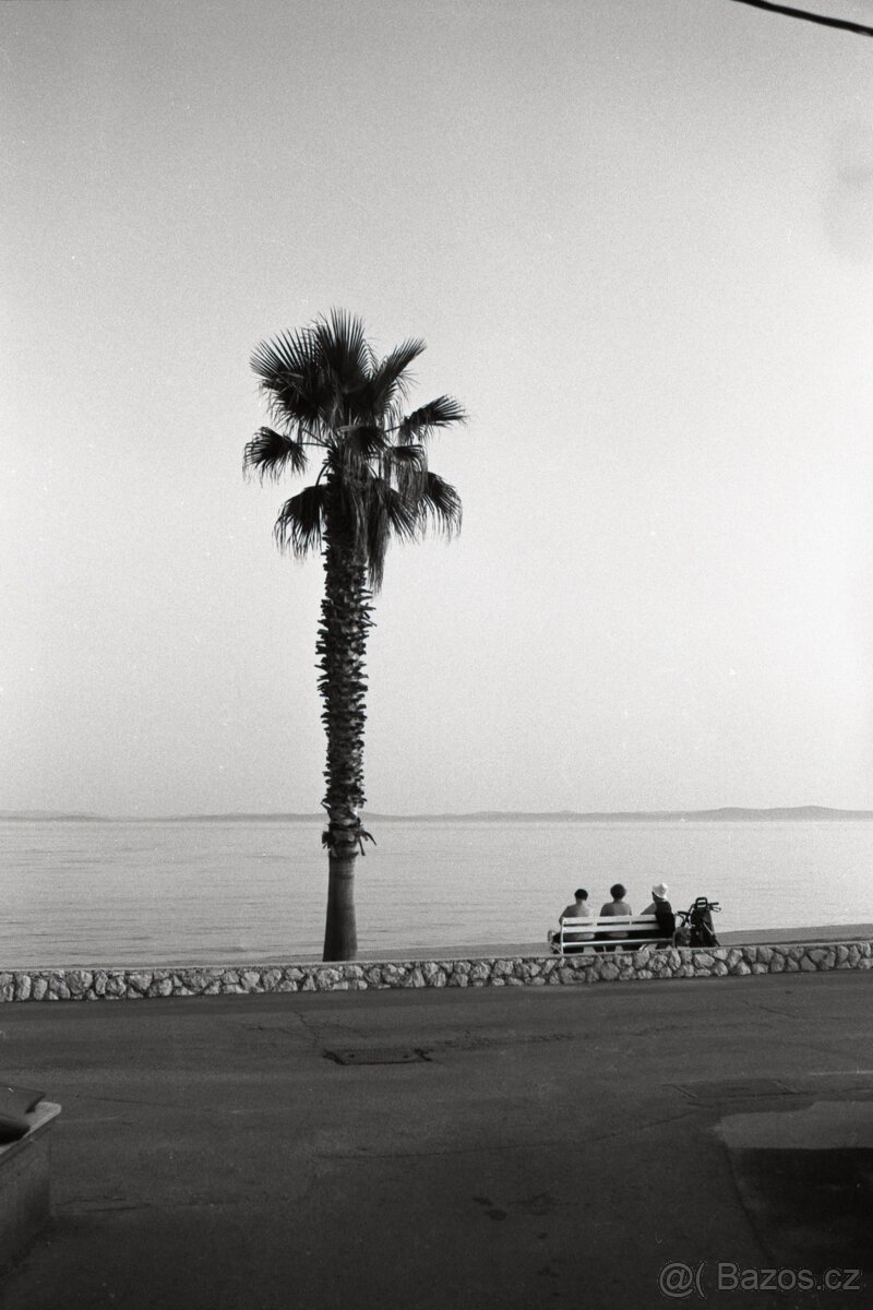 Asahi Pentax SP1000 M42 - 7