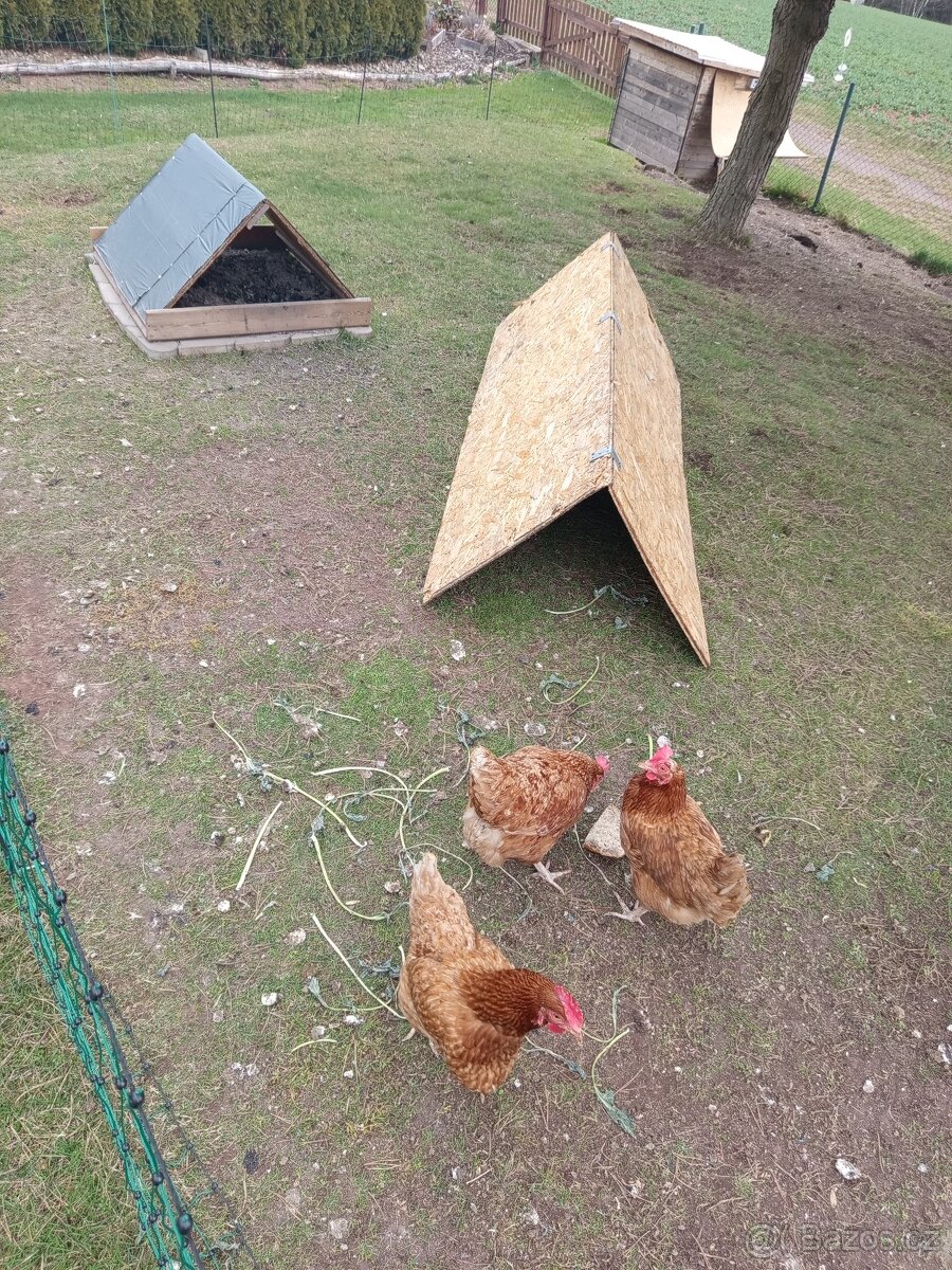 Kurník + slepice - 7