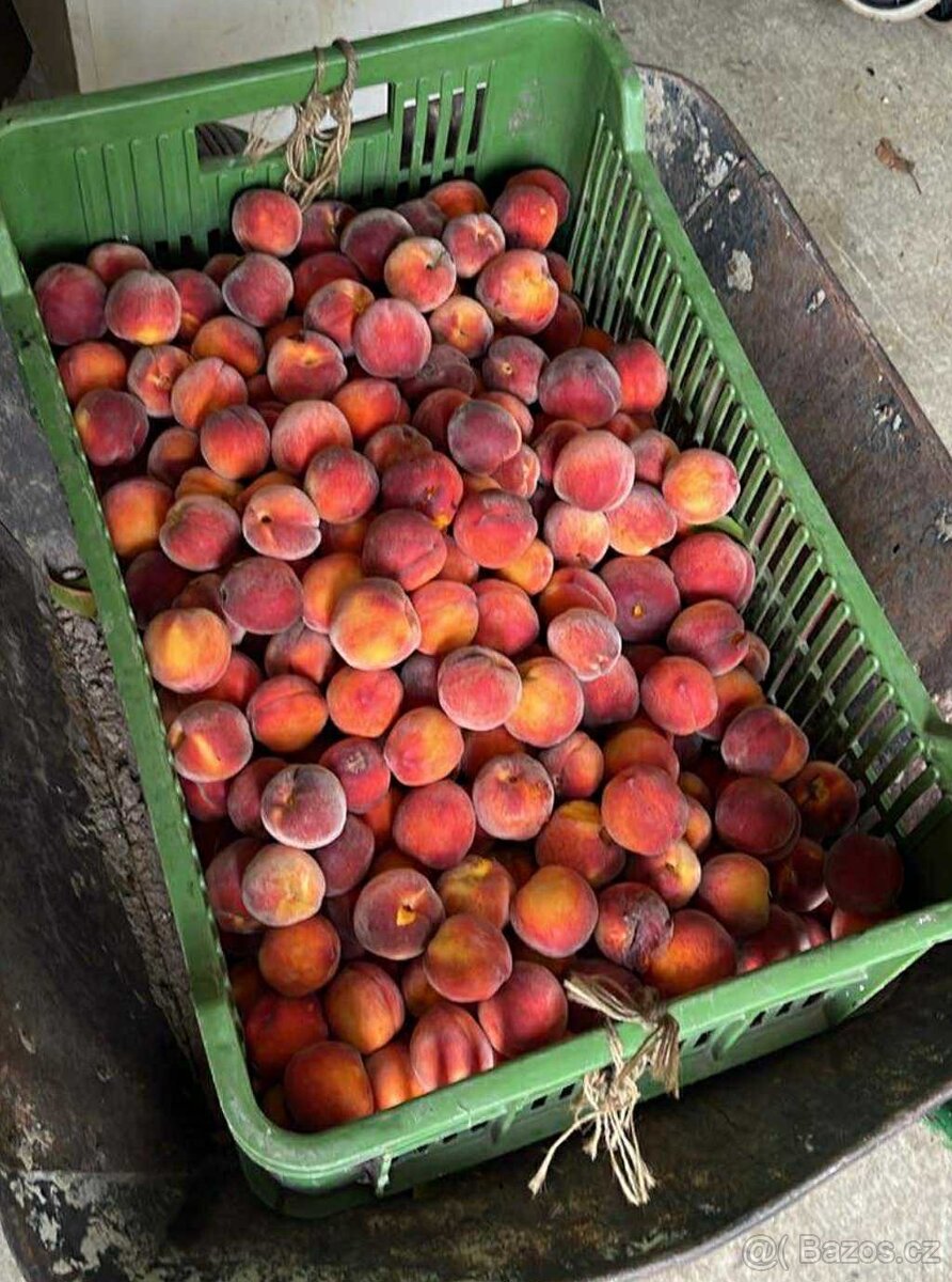 domácí marmelády ze 100% ovoce z naší zahrádky - 7