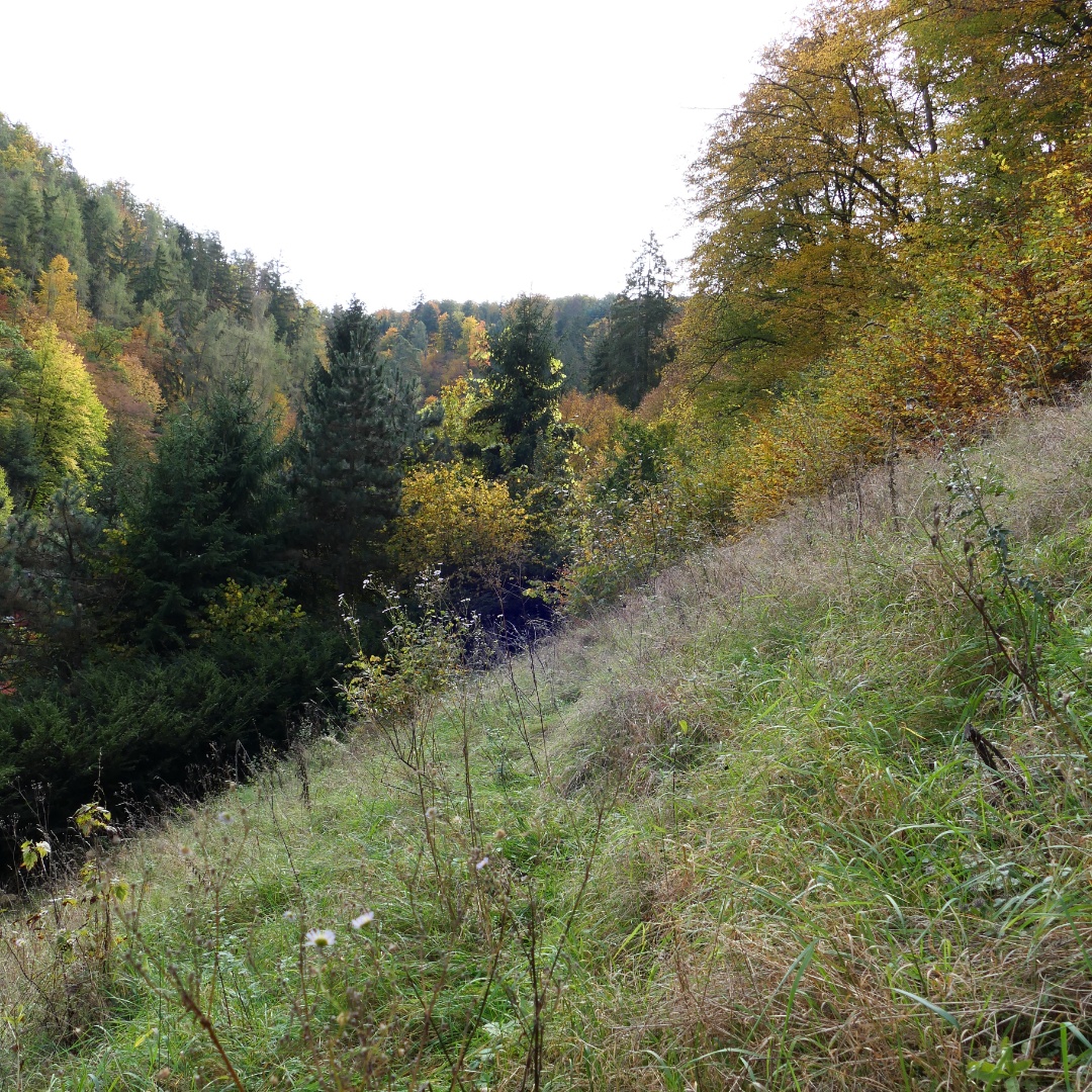 Rodinný dům Štěchovice - 7