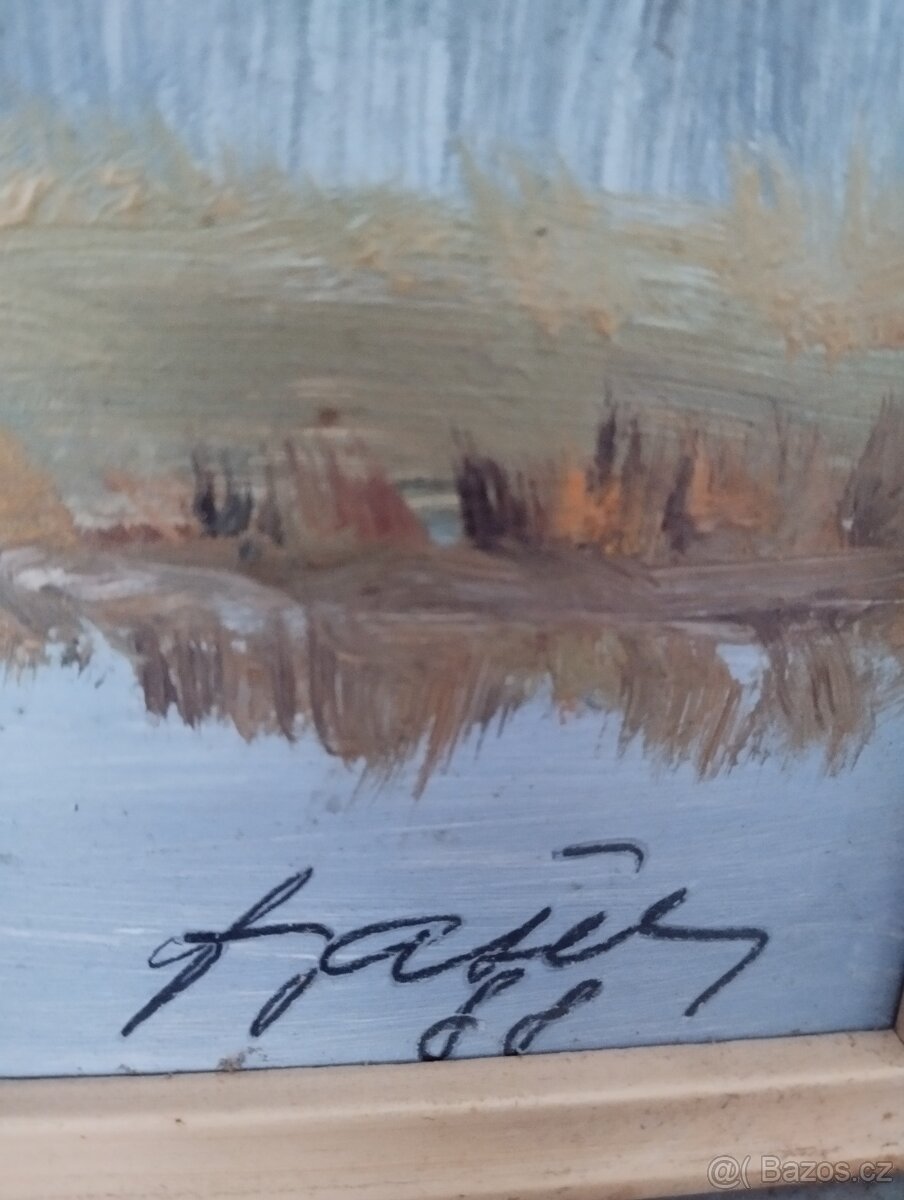 Obrazy malířů Vysočiny - 7