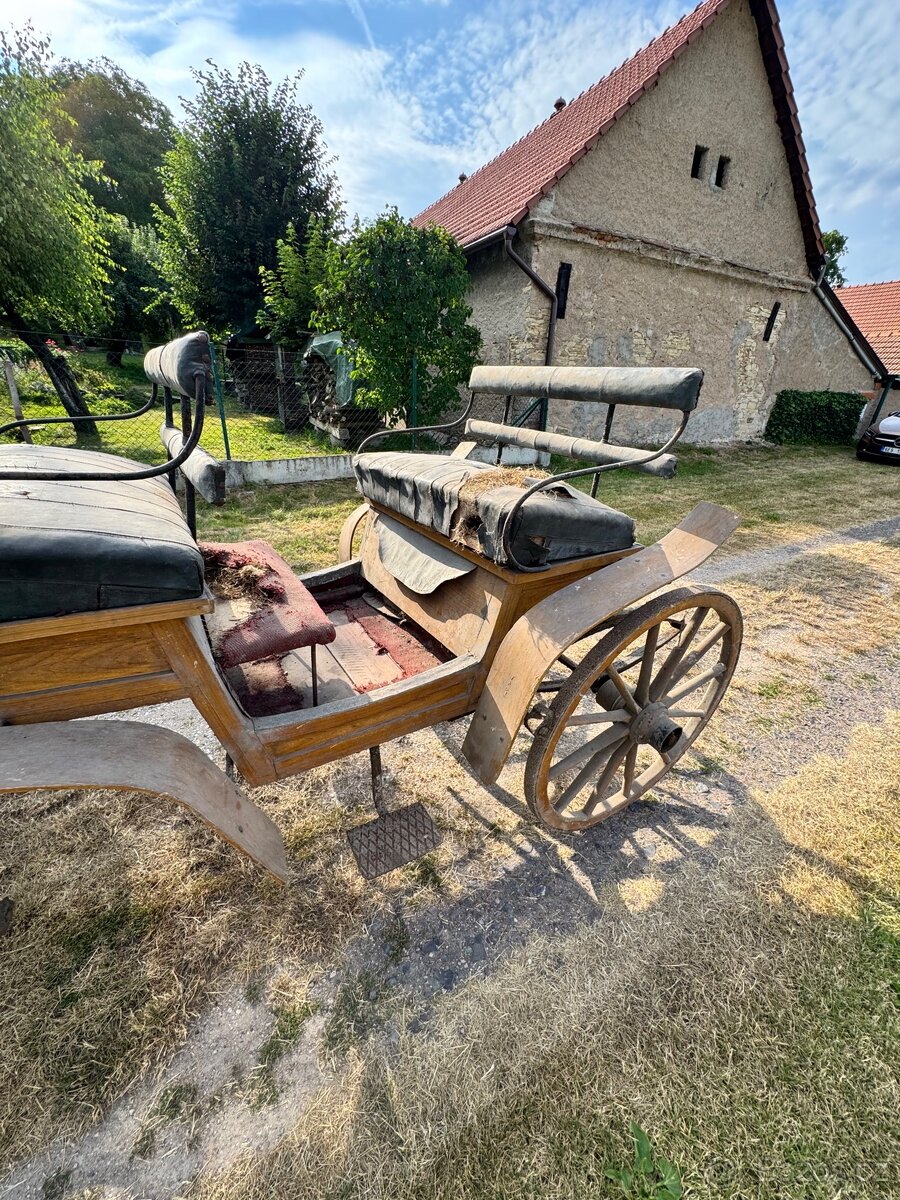 Koňská bryčka - 7