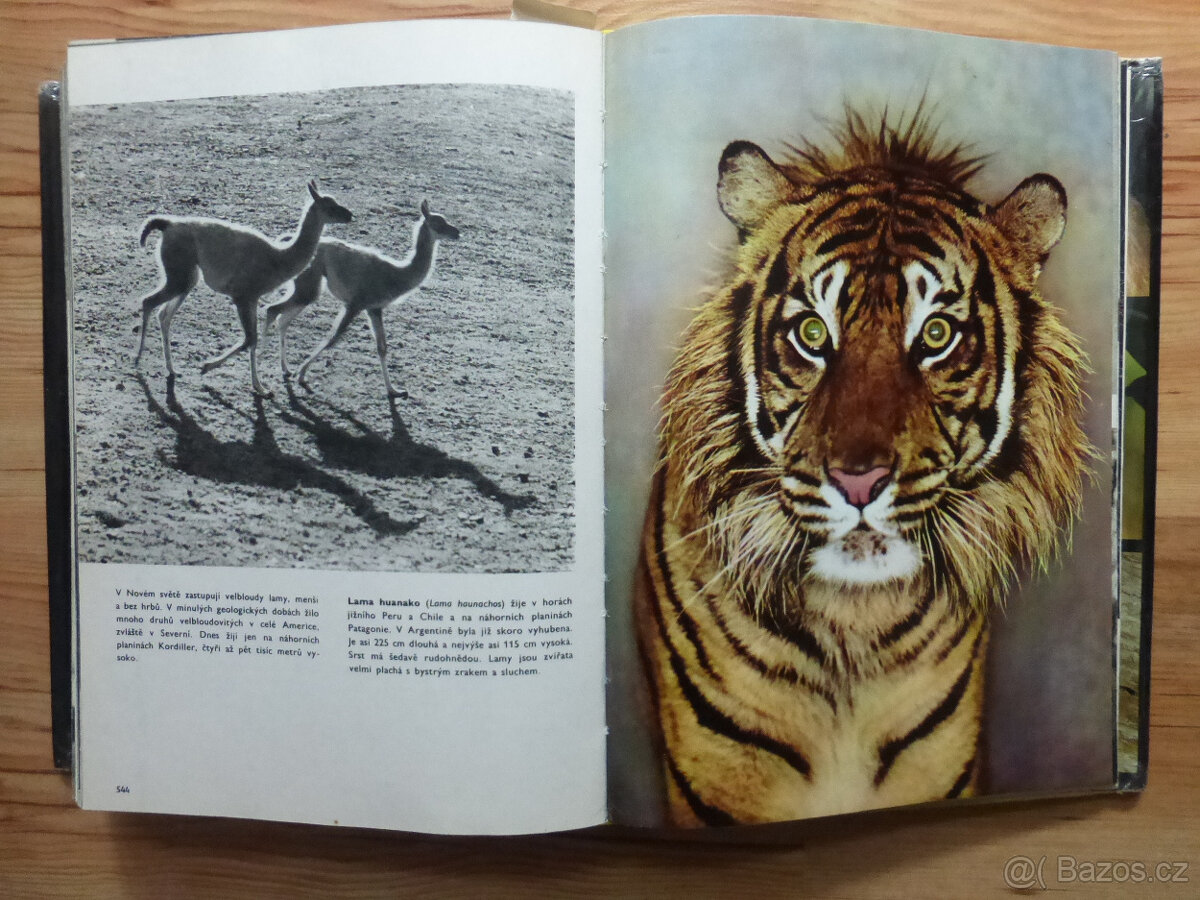 knížky o zvířatech a přírodě - 7