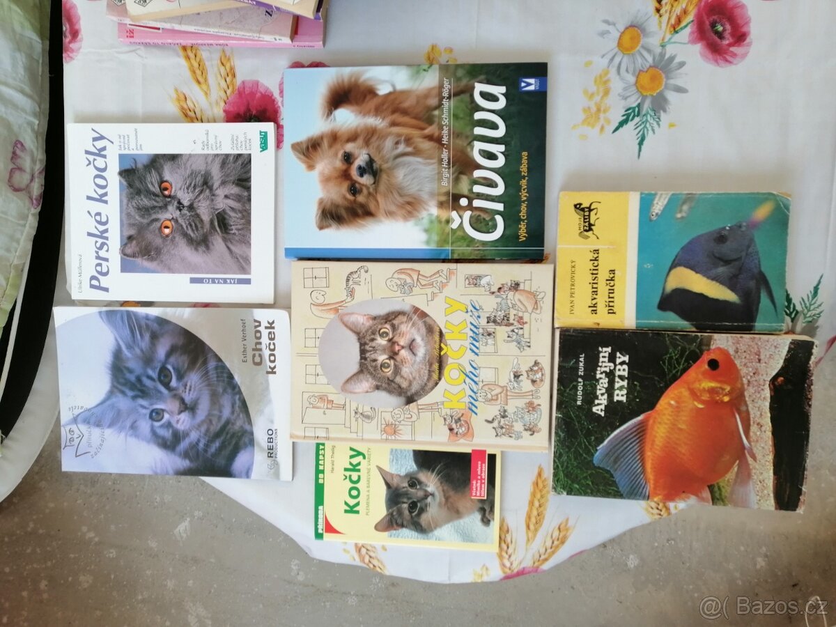 Prodám různé.... - 7