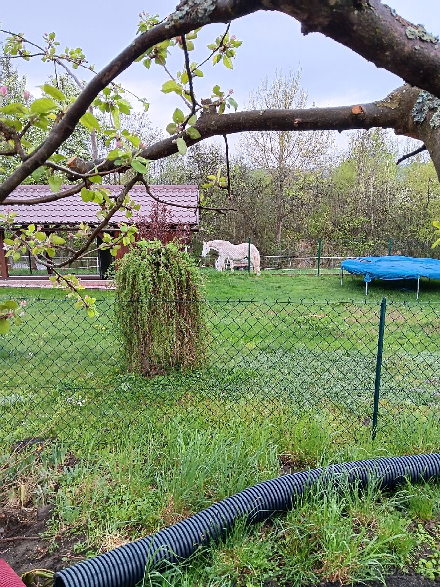 Chaloupka v Českém ráji-levně - 7