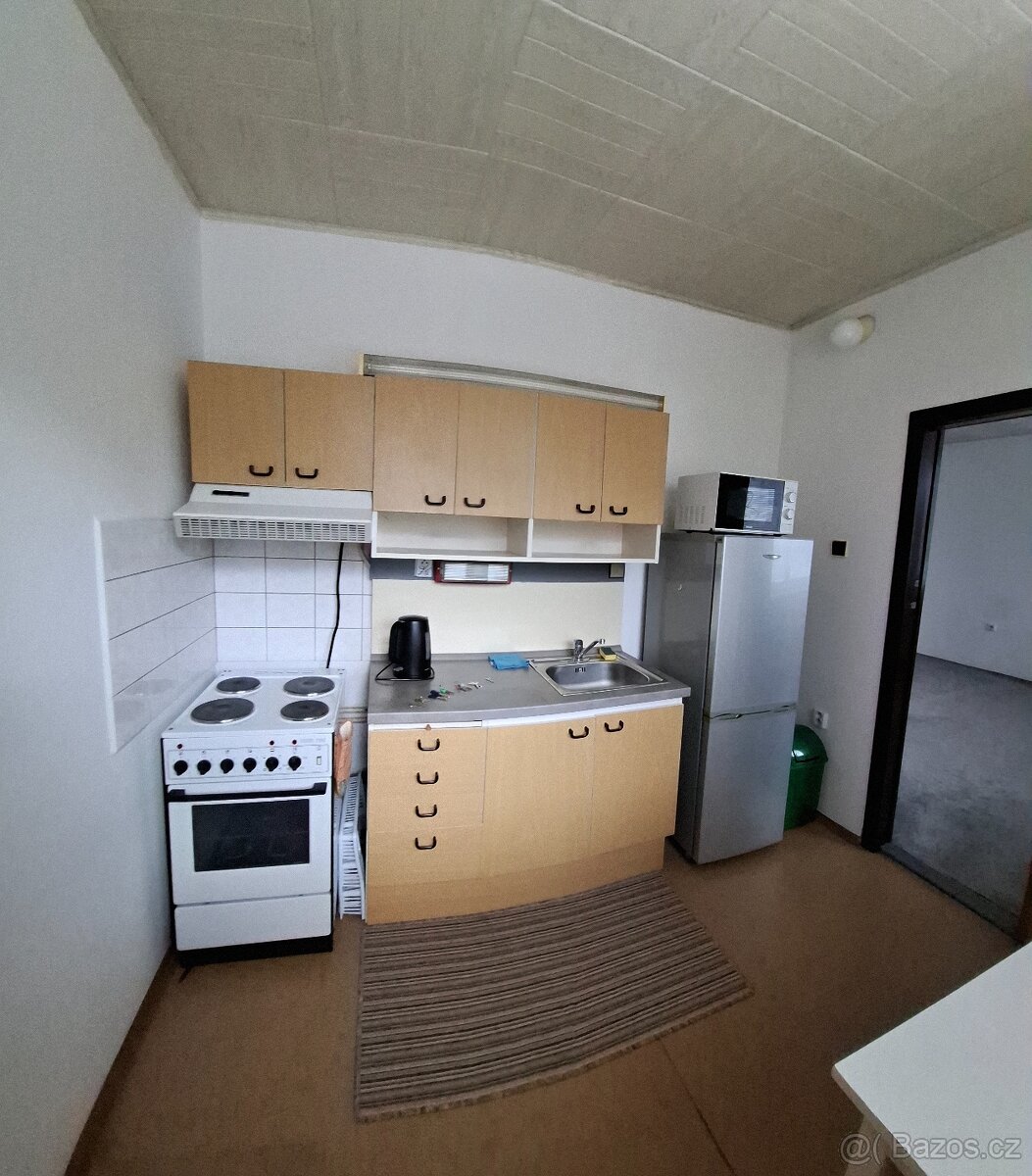 Podnájem bytu 1+1, 39 m2, Vítězná, Tanvald - 7