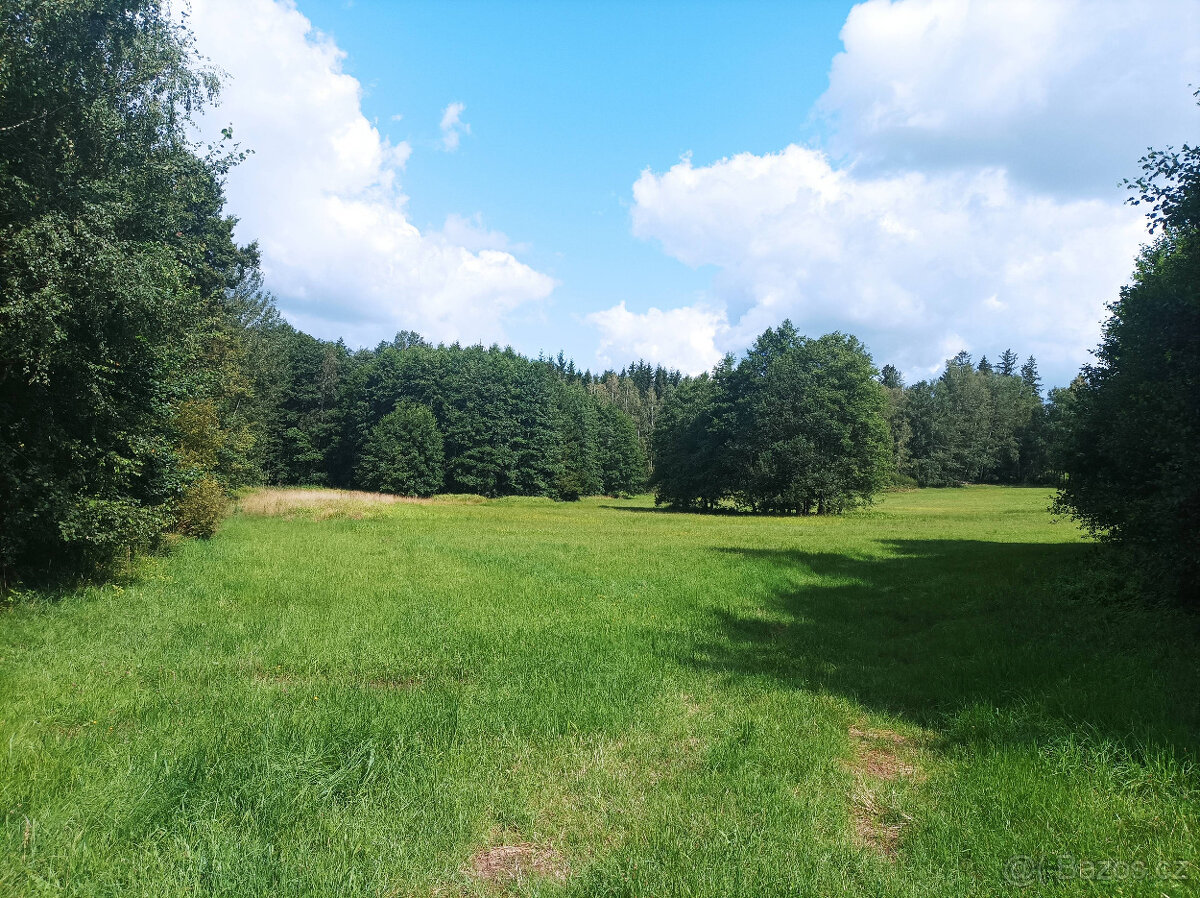 Zemědělská půda Popelín - Jindřichův Hradec - 7