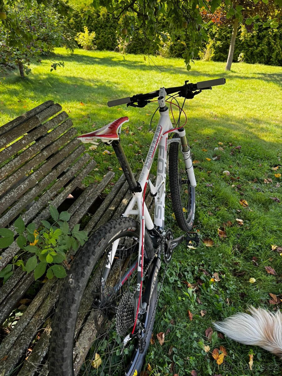 Focus Black Forest PRO 26 - 7