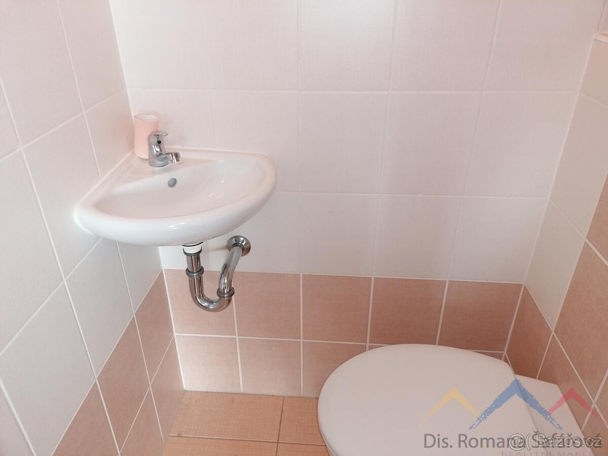 Pronájem bytu 2+1, Břidličná - 7