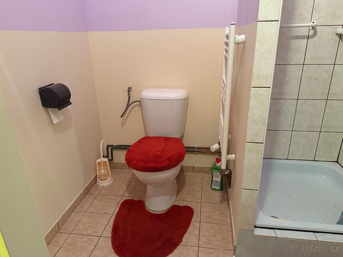 Garsonka v Desné k pronájmu - 7