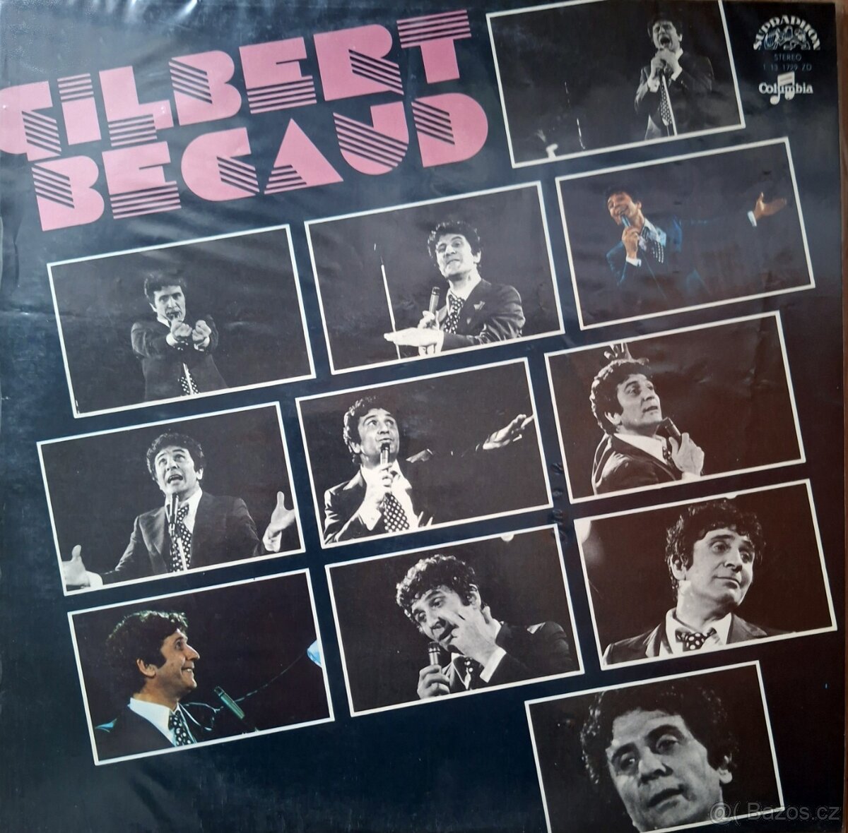 Vinyl - LP desky (rock, pop) - 7