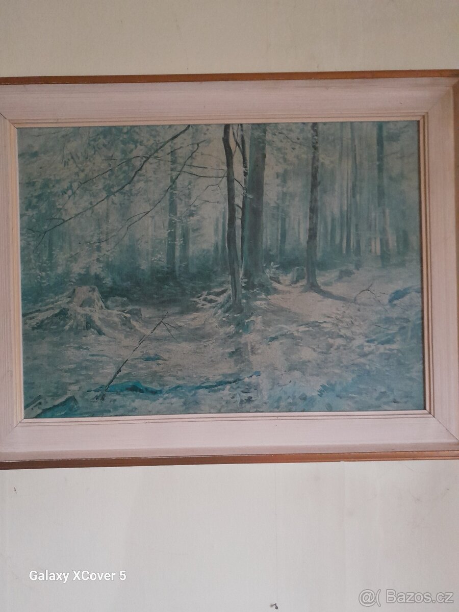 Obrazy - 7