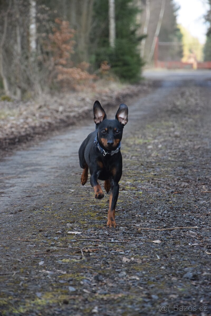 Nabídka ke krytí - 7