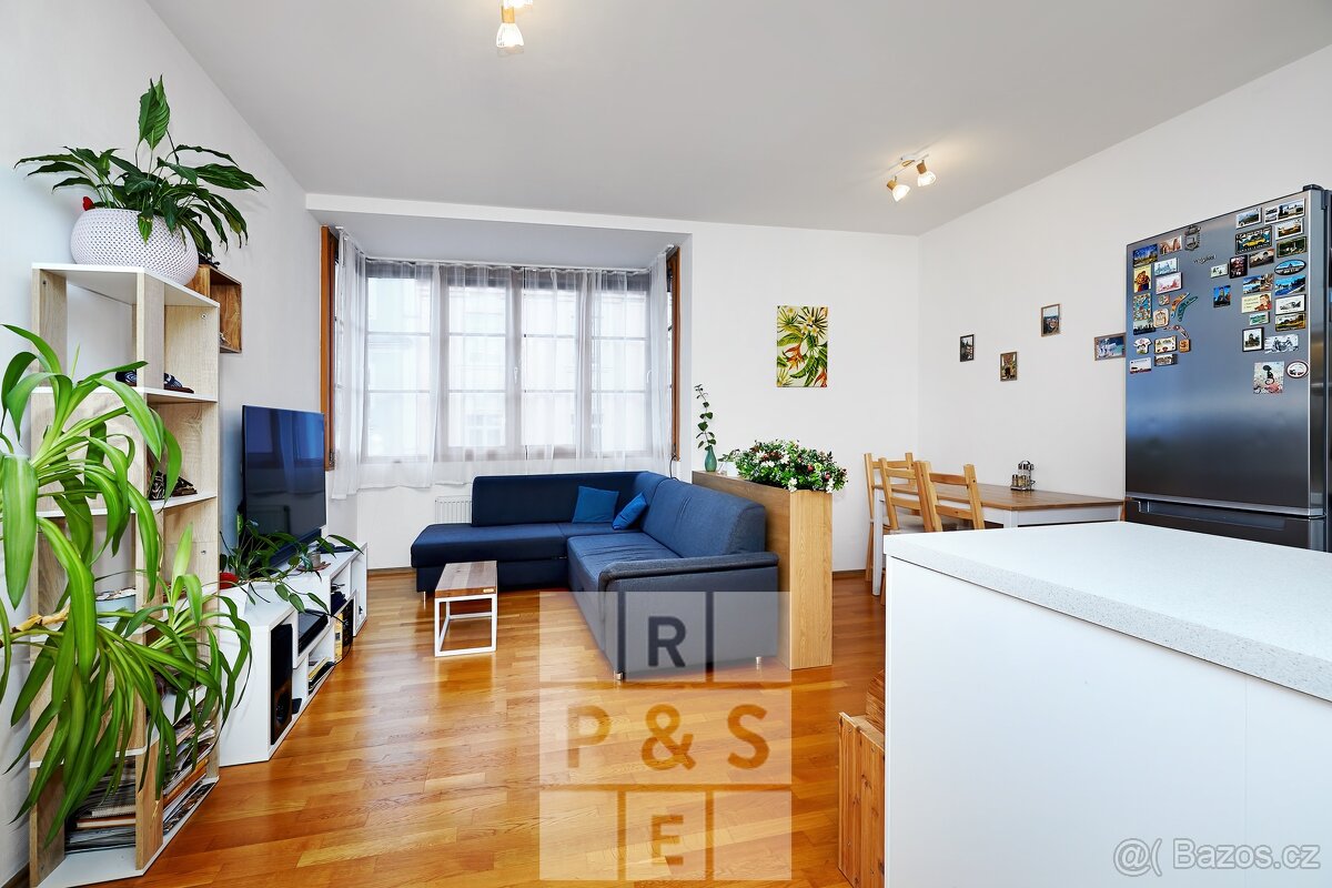 Pronájem, Byty 2+kk, o velikosti 56m² a sklepní koje 5,3m² - 7