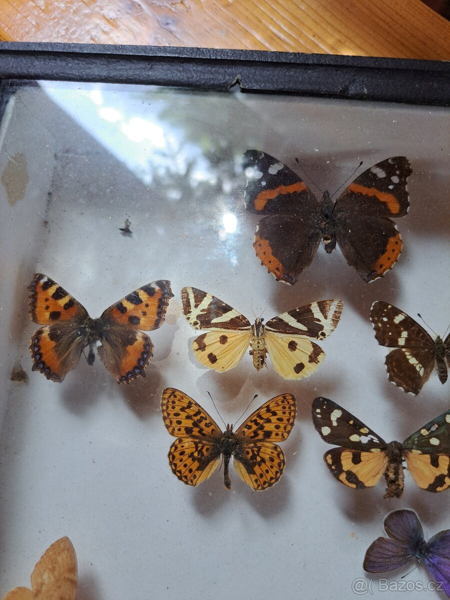 Zbierka M O T Ý Ľ O V. - 7