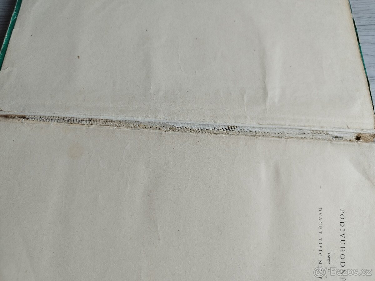 Dvacet tisíc mil pod mořem - 7