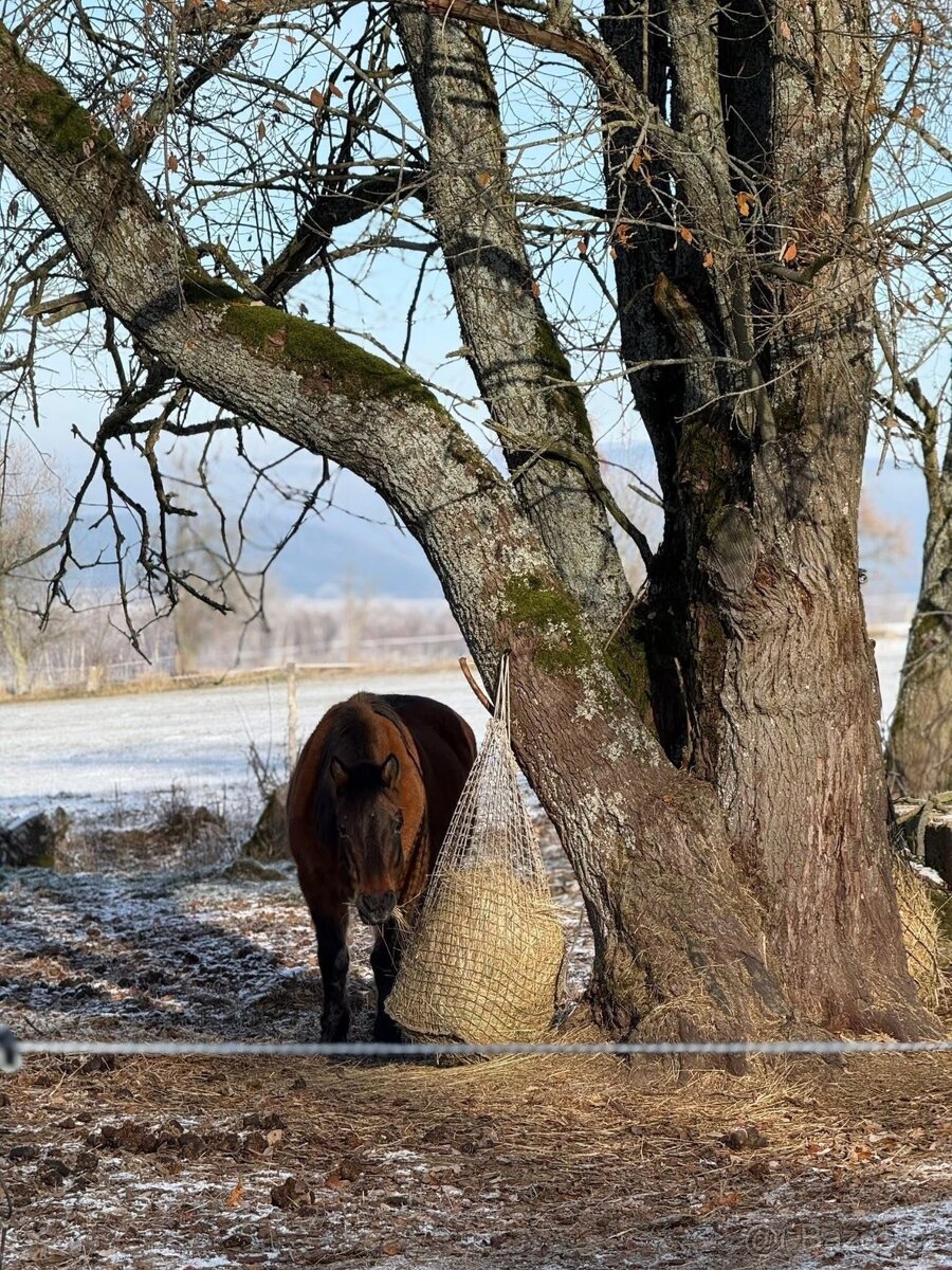 Pastevní ustájení - 7