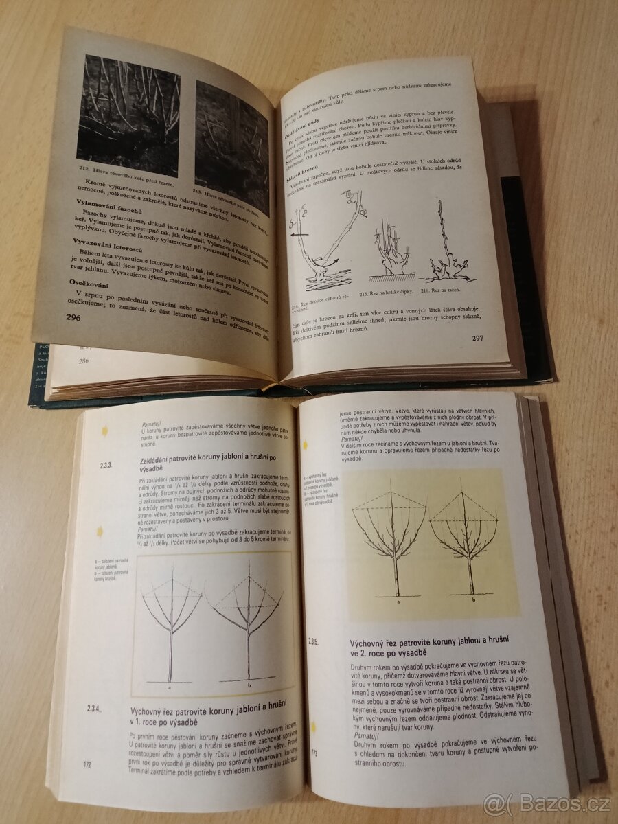 Naše zahrádka,Ovocnictví zelinářství,Škola ovocnáře - 7