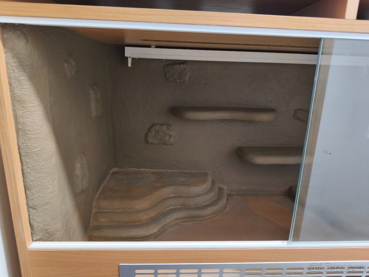 Terarium pro agamu vousatou - 7