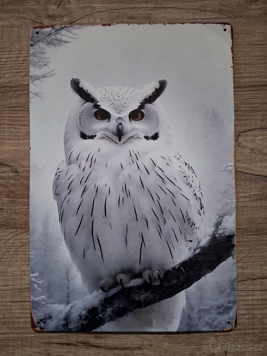 Plechová cedule 20x30cm černobílá - 7